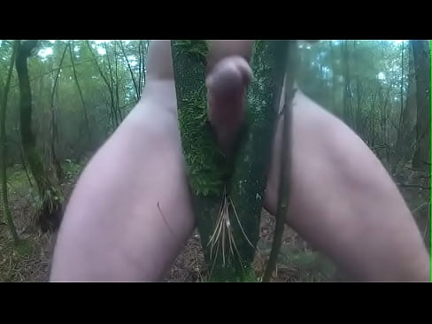 fuck tree deep forest