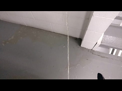Pissing in a Stairwell