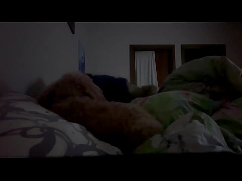 Sexybrownpoodle finds the spot and wets the sheets