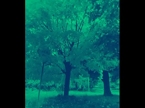 Songs that sampled inshot video editor app in green night vision 2