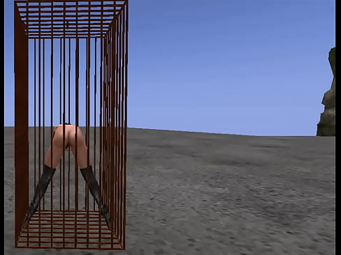BDSM cage SL stuff instruction