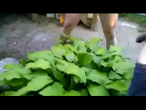 Couple pissing together on a plant