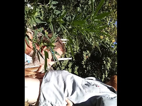 In the 420 garden sucking&getting fucked