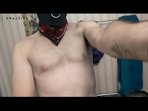 Older Clips Compiled for Upload | Pupplay Stuff