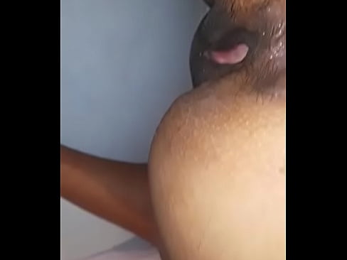 Perra en cuatro anal