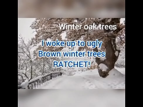 I woke up to ugly brown winter trees RATCHET