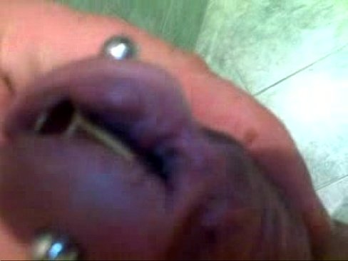 penis piercing