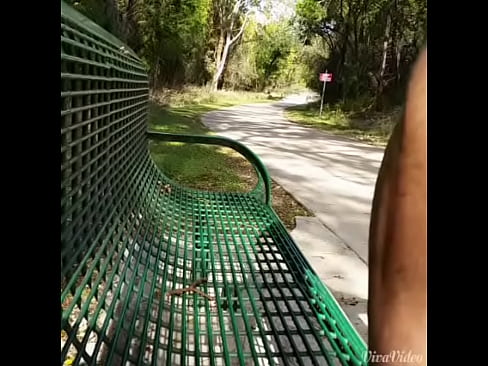 Bike path park bench