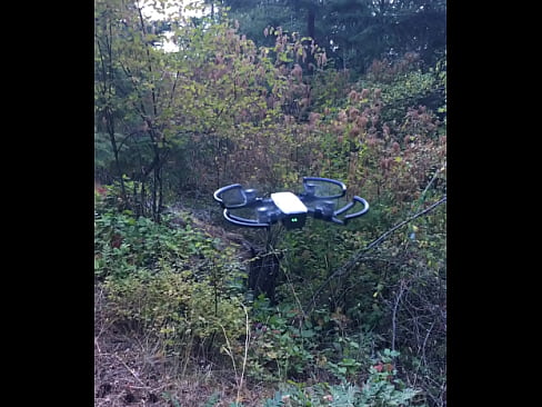 Drone on Lummi Island