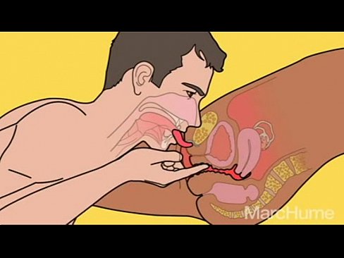 HOW TO MAKE LOVE TO A WOMEN