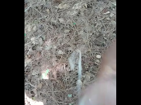 A quickie in the forest