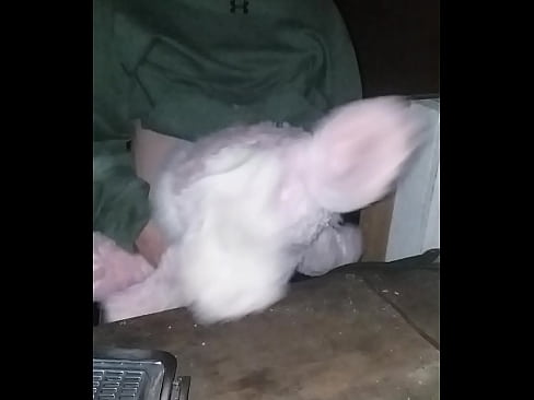 Me fucking my bunny in my friends shed