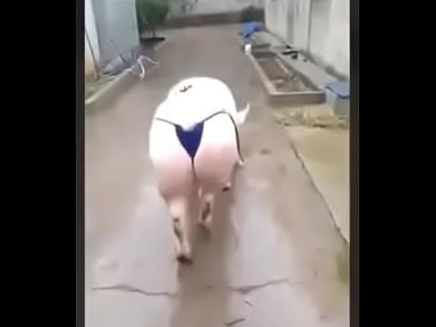 Peppa pig sexy