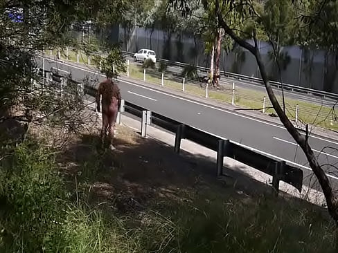 Public Nudity By Freeway
