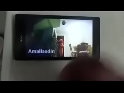 Amalisedin