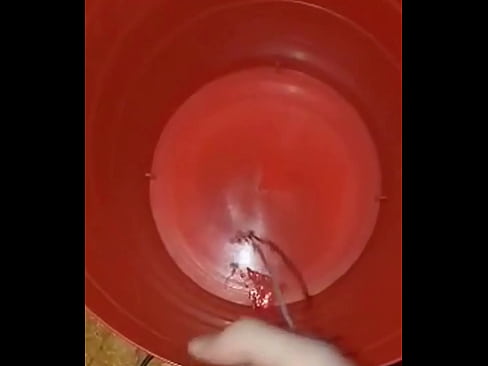 cum bucket