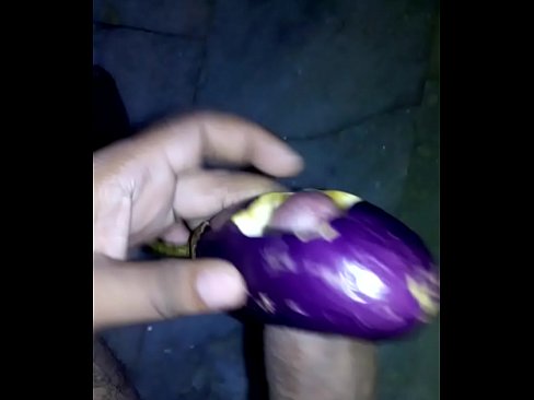 Fucking Stupid Brinjal