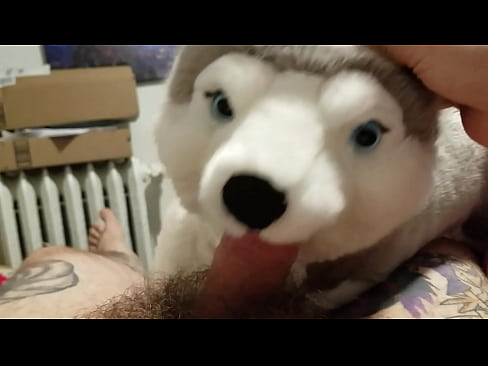 Oral sex with stuffed husky and rubbing one out