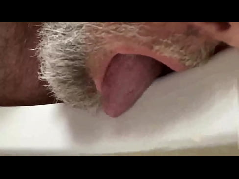 Piss drinking toilet fag licks his Masters toilet rim clean and offers to clean anyones toilet clean with his tongue.