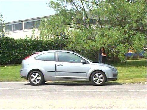 A transsexual is picked up in the street by a mature man