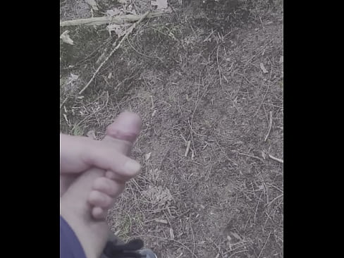 Quick cum in public forrest