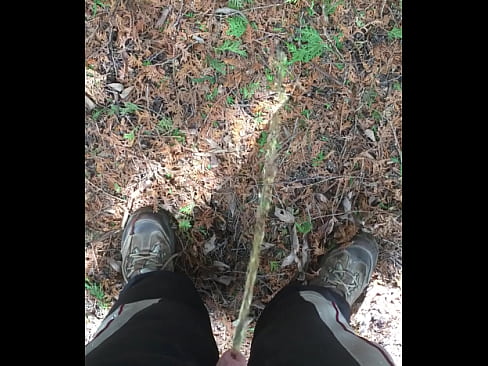 Outdoor Piss POV