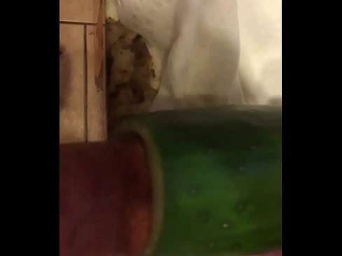 Fucking a Hollow Cucumber at Home