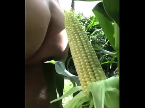 Corn dildo fuck
