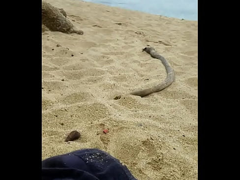 Masturbating on a public beach