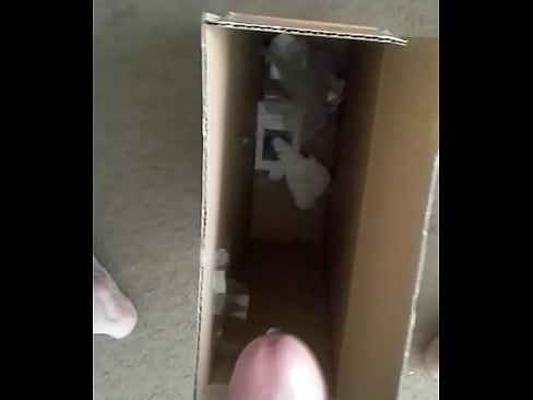 cum in a box