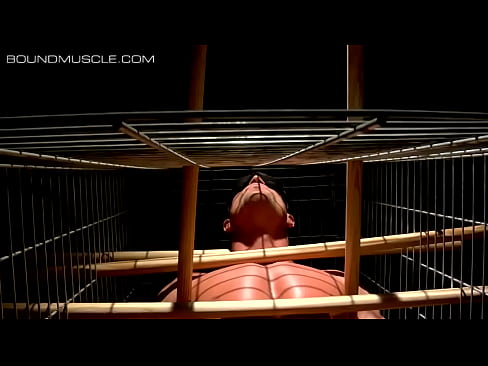 Muscular stud locked in a cage and tormented with a dumbbell tied to his dick