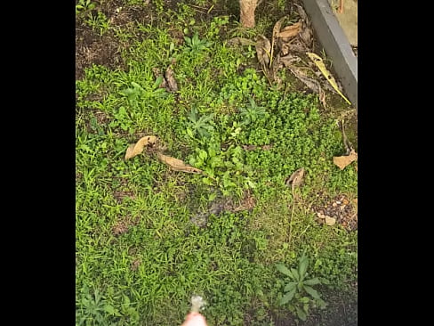 Solo male pee outdoor in backyard