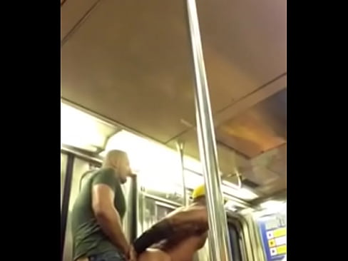 Two Bears Fucking On A Public Train