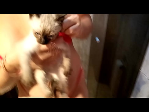 Sarah Rosa │ Série │ Gatos & Gatas │ no Banho com Gustavo ║ Neste Vídeo Ela nos Mostra como Fez para dar Banho em Seu Gatinho Gustavo