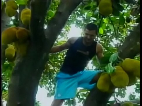 Lusty young Brazilian  dude helps his friend to gather exotical fruits