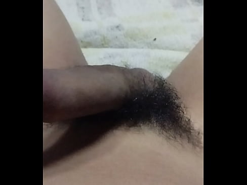 Mi pene peludo.