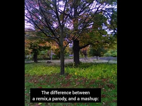 The difference between a remix, a parody, and a mashup