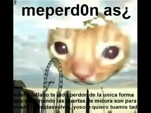 Meperd0n as¿ foquin gei hahah