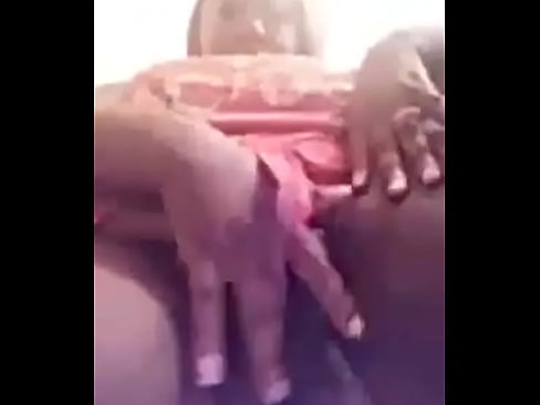 Ebony fat ass and pussy