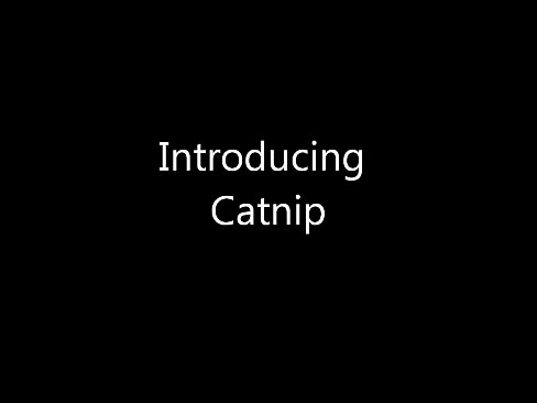 Catnip Introduction, cute asian teen having fun