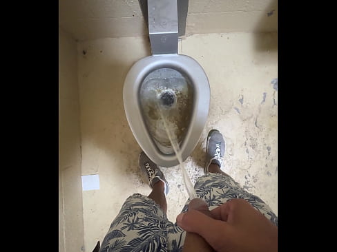 Pee in Public Sink