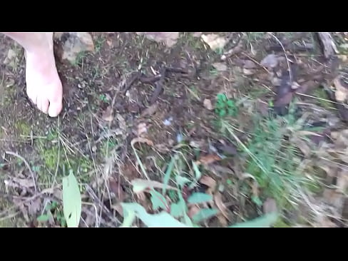 Paja en el bosque