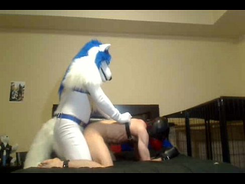 Furry gay sex