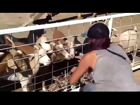 a mi novia se le ve la tanga en el zoologico