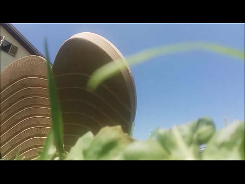 my beautiful bare feet caressing the grass