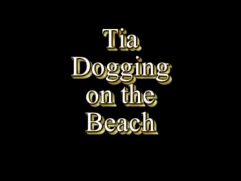 .com 7771647 tia public beach dogging