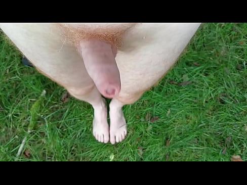 Closeup dick and feet on the grass