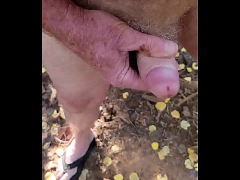 Jerking My Fat Cock In The Trees 3