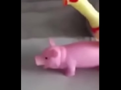 A Peppa Pig CAIU NA NET ! Whatsapp Videos Engraçados 2015