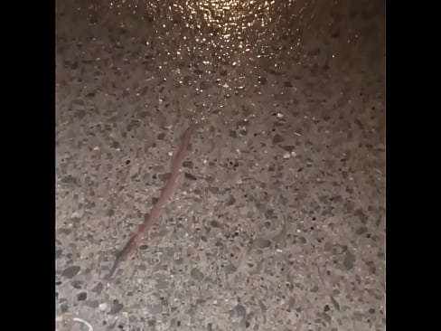 It takes 4 minutes for worm to disappear from camera on wet concrete